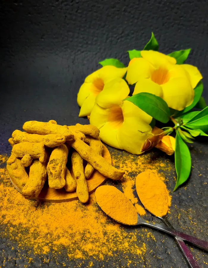 Fresh turmeric rhizomes and turmeric powder